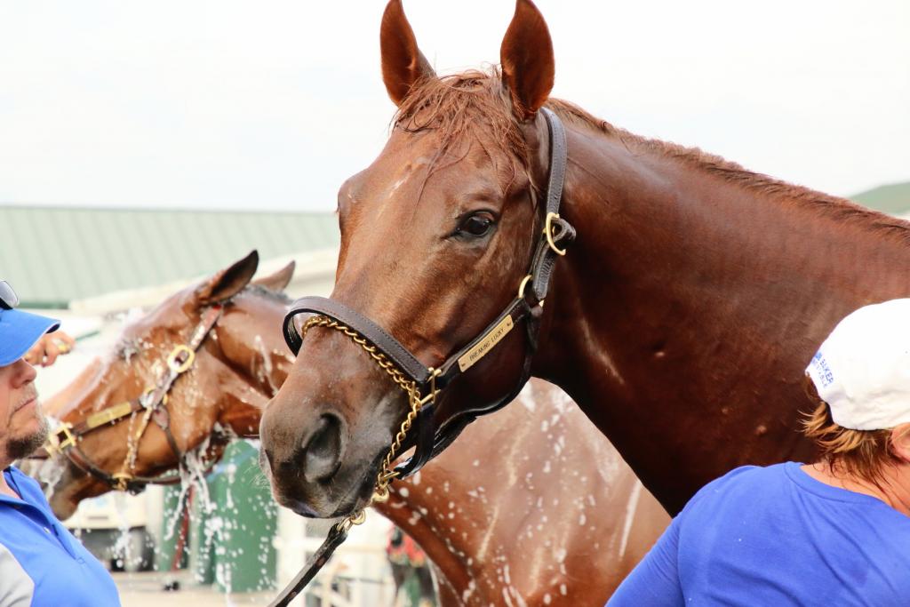 Breaking Lucky. (Julie June Stewart photo)